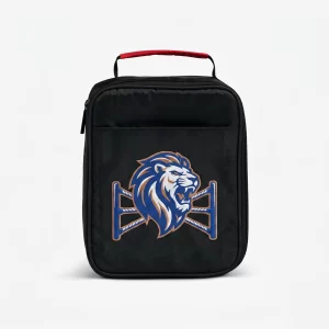 cooler & lunch bags for OEM ODM custom bag projects