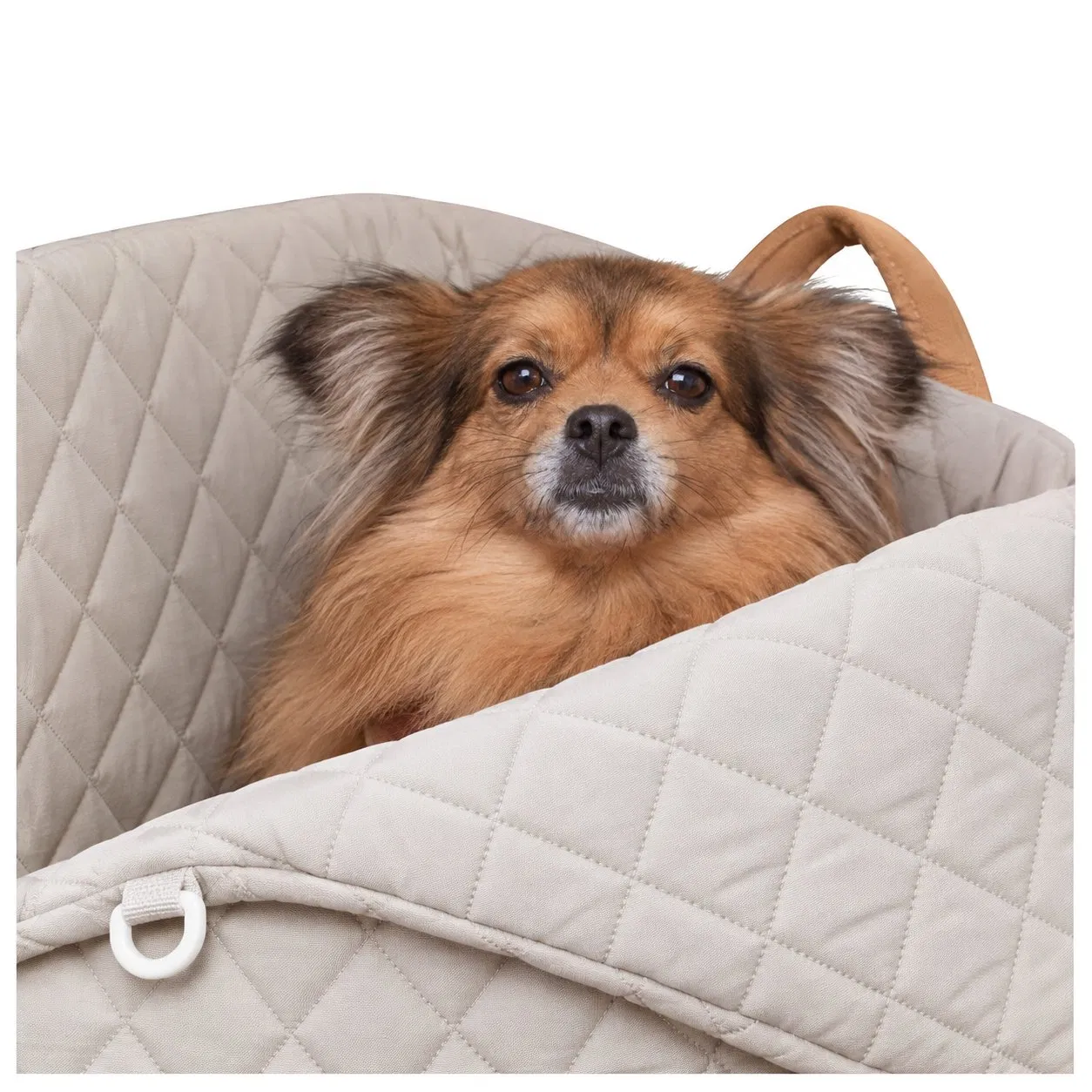 Portable Polyester Soft Sided Pet Travel Carrier Bag with Zipper Closure for Cats and Dogs