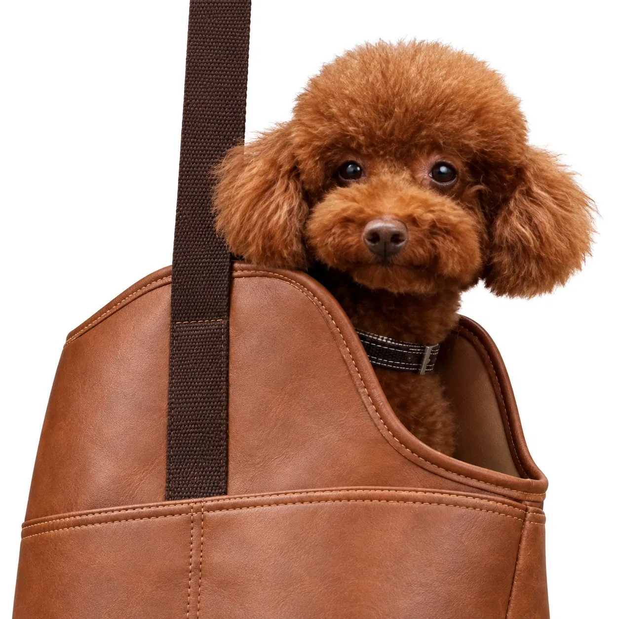 Custom PU Pet Carrier Tote Bag with Pockets and Adjustable Safety Leash for Small Dogs and Cats