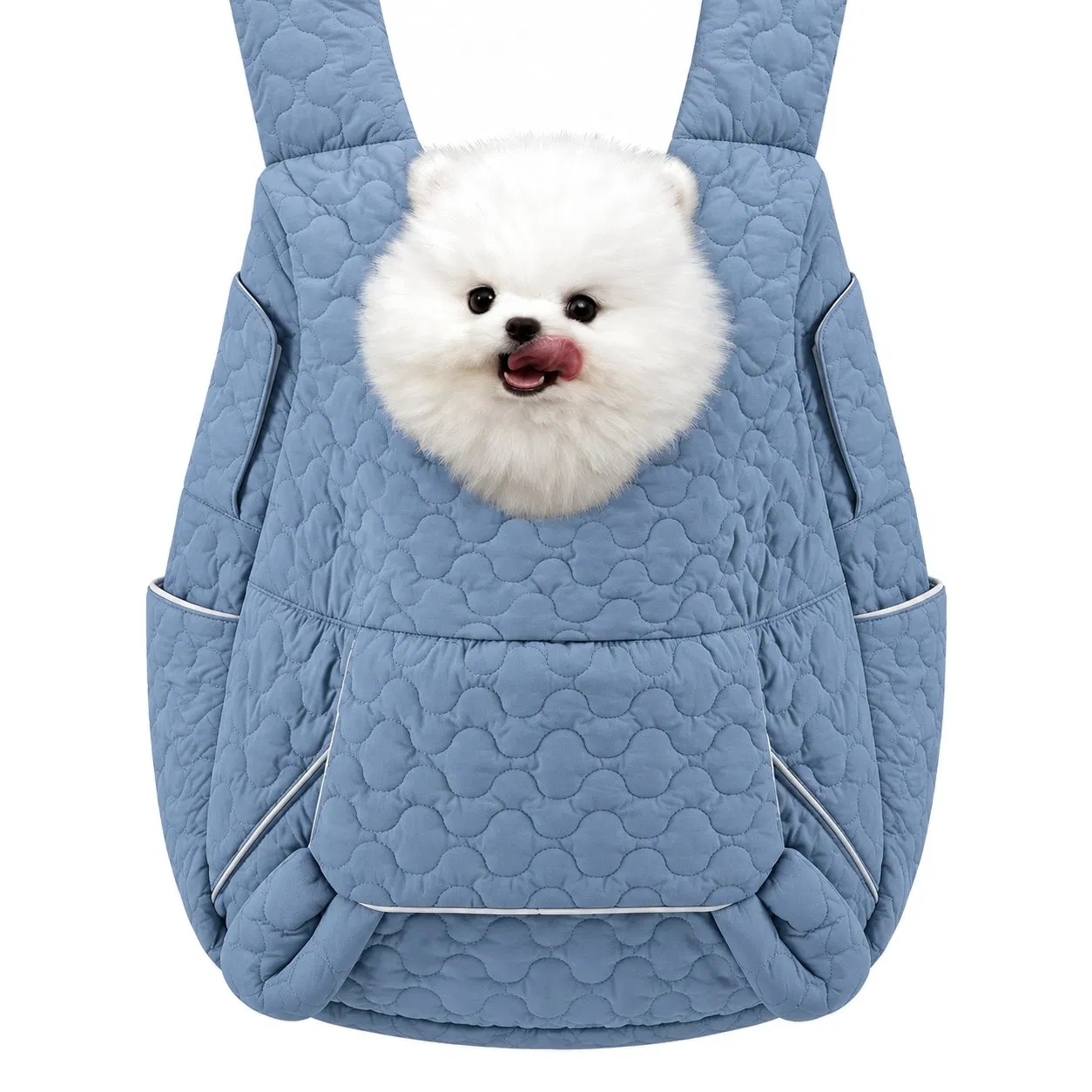 Foldable Pet Carrier Backpack with Double Shoulder Design and Multiple Pockets