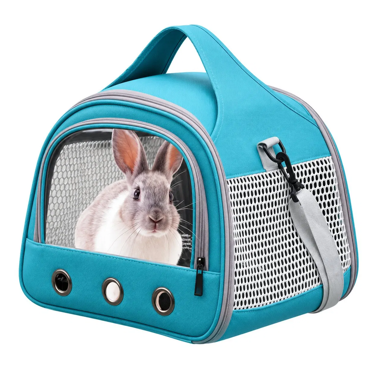 Portable Folding Mesh Dog Cat Carrier Bag