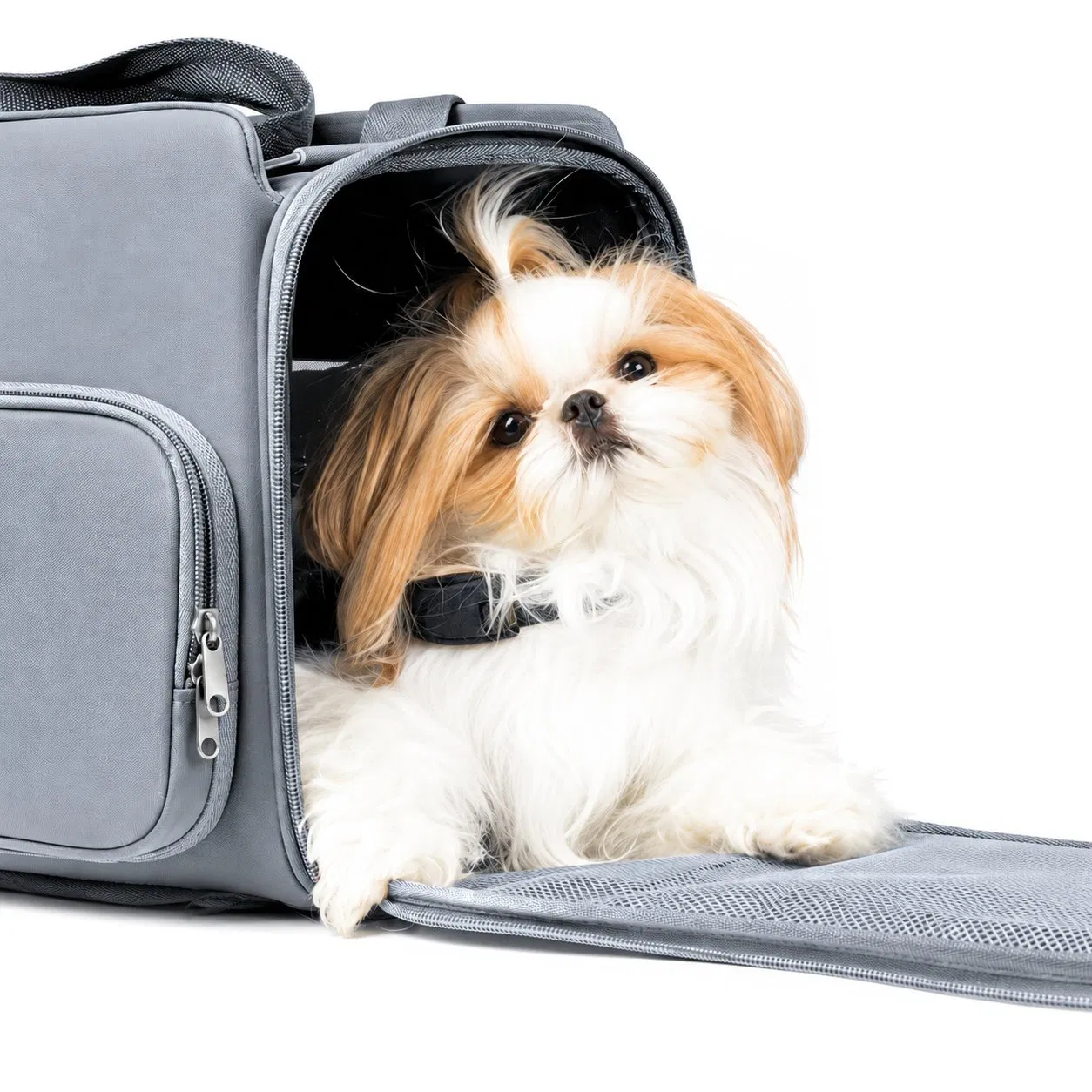 Custom Polyester Small Dog Travel Carrier Tote Bag