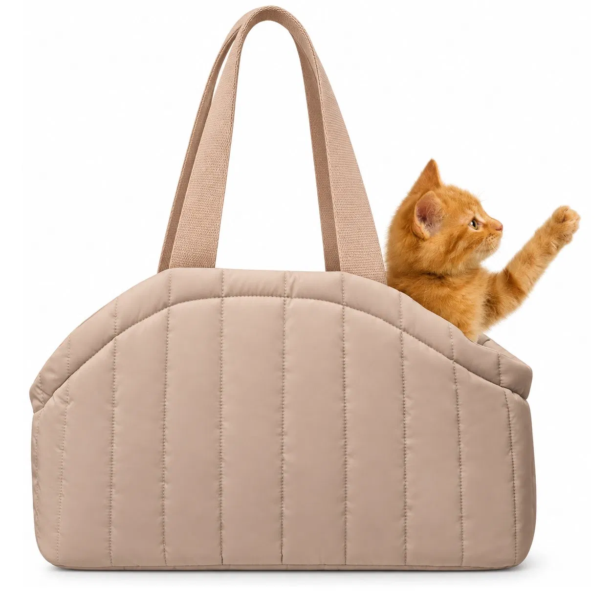 Custom Foldable Pet Carrier Weekender Bag with Crossbody Strap