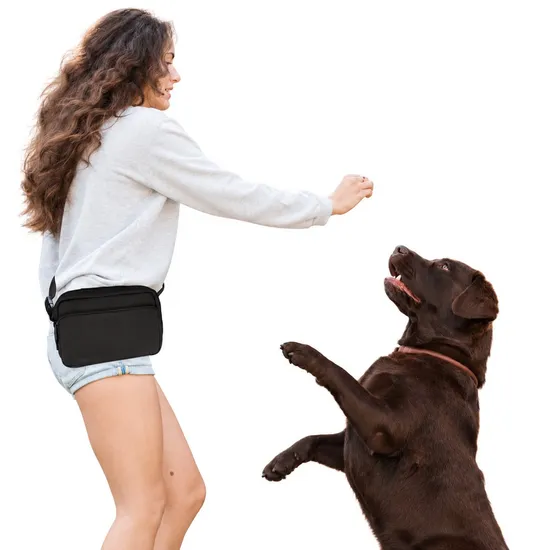 Custom Portable Nylon Dog Walking Treat Waist Bag with Multiple Pockets