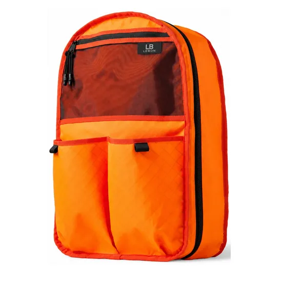 Custom 21L Nylon Travel Laptop Backpack with Modular Pockets and Luggage Sleeve