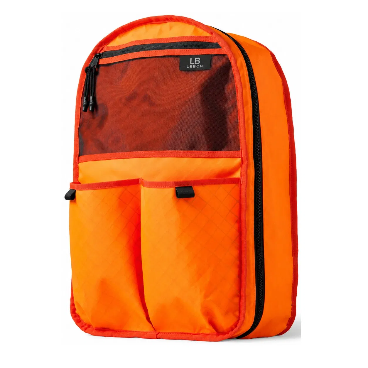 Custom 21L Nylon Travel Laptop Backpack with Modular Pockets and Luggage Sleeve