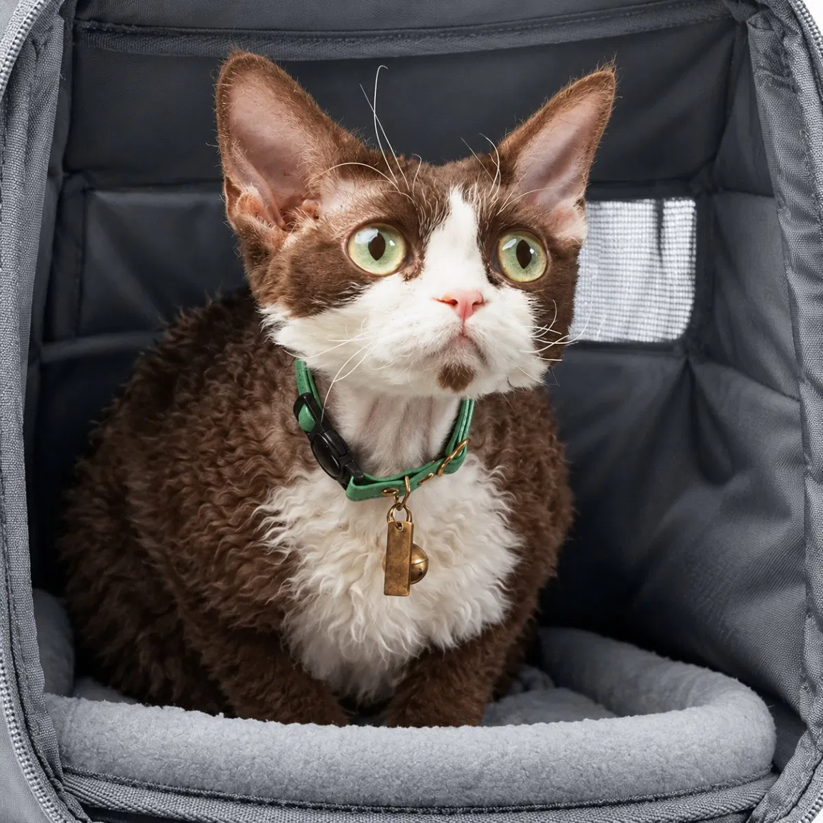Custom Nylon Foldable Pet Carrier Tote Bag for Dogs and Cats Outdoor Travel