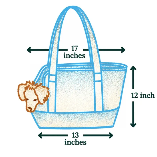 Custom Canvas Pet Tote Carrier with Open Top for Small Dogs and Daily Walks