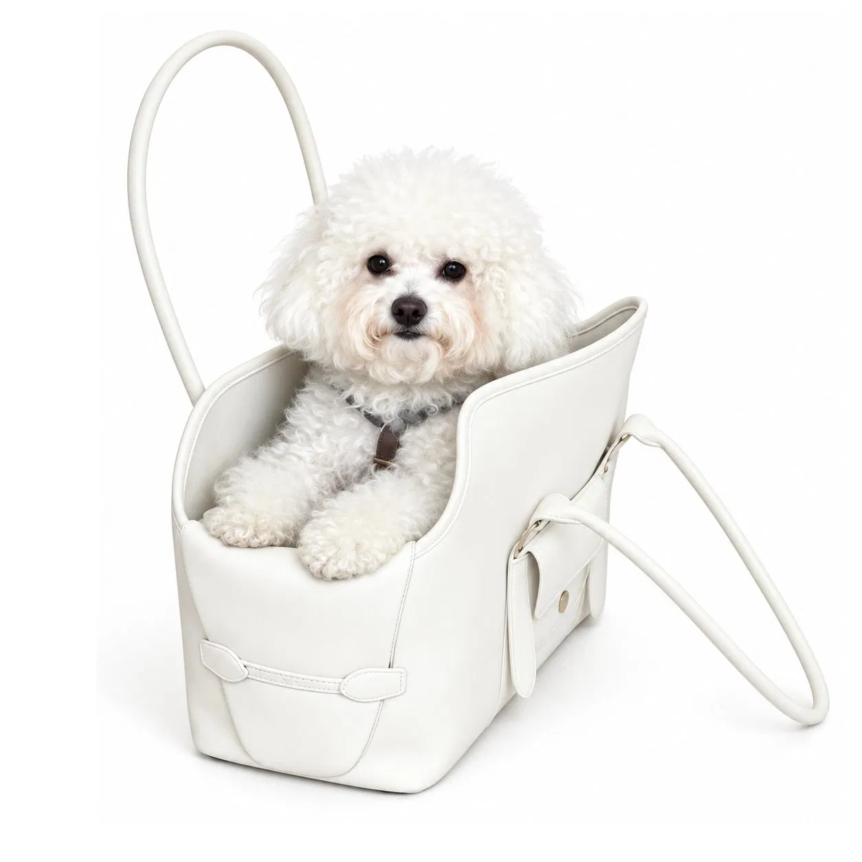 Custom Canvas Pet Carrier Tote Bag for Dog and Cat Travel