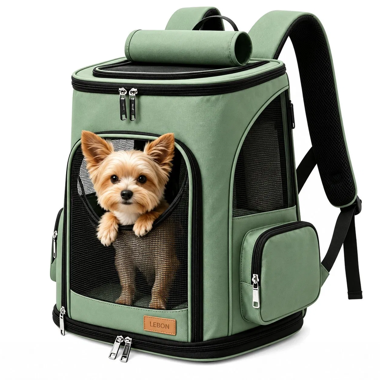 Custom Oxford Pet Carrier Bag with Breathable Mesh for Cats and Small Dogs