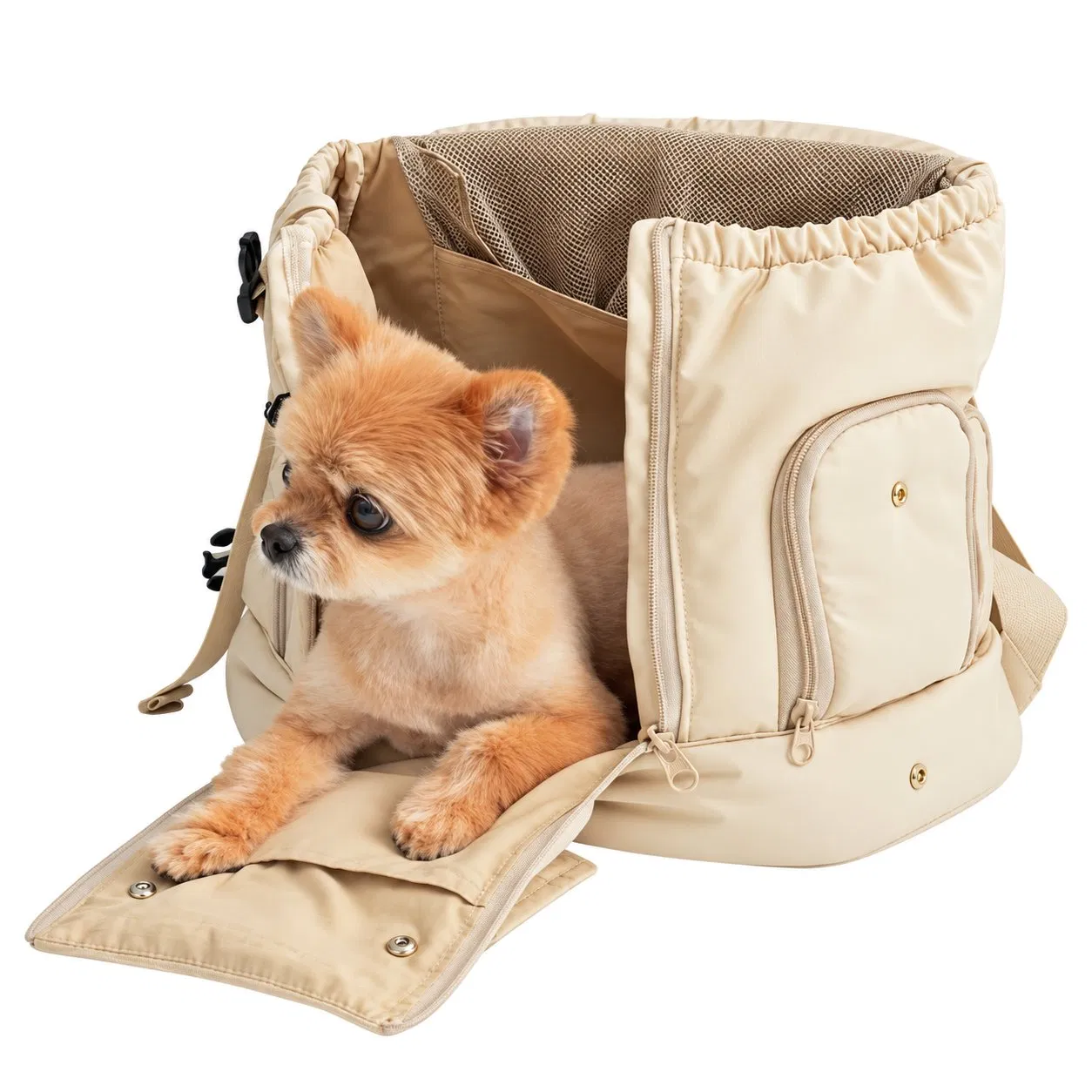 Front Pet Carrier Backpack with Breathable Mesh for Small Dog Travel