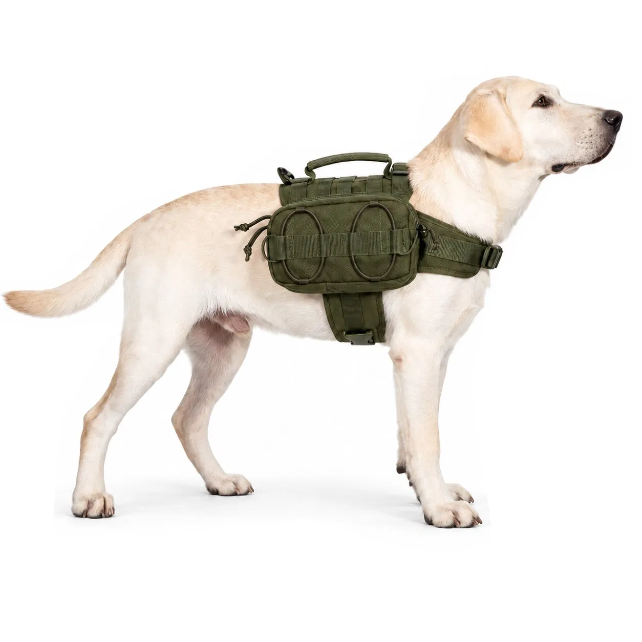 Custom Tactical Dog Harness with Molle Pouch Adjustable Oxford Pet Training Vest
